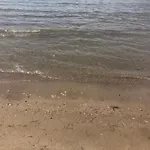 Vollga Seaview
