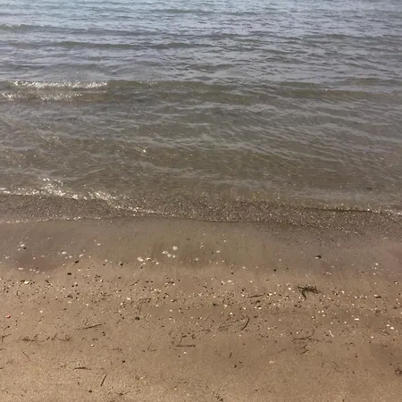 Vollga Seaview