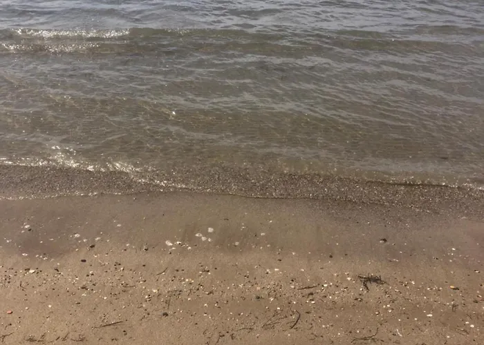 Vollga Seaview